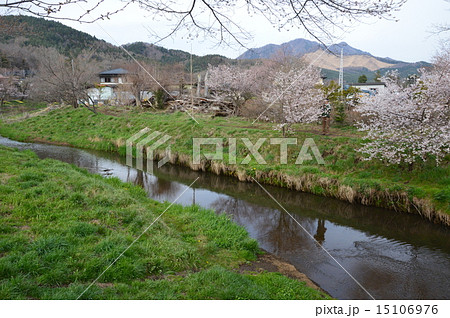 新名庄川（忍野八海／山梨県南都留郡忍野村忍草） 15106976