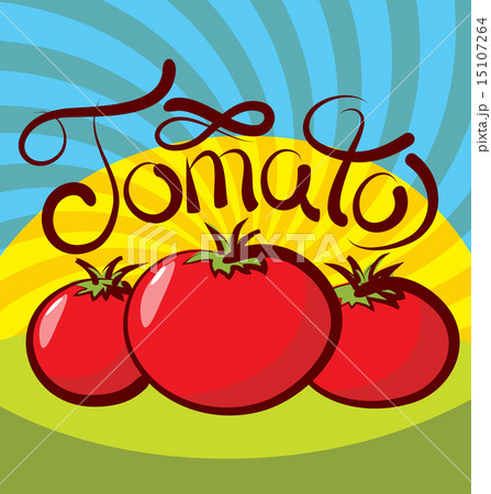 Vector Tomato Vector Tomato 15107264