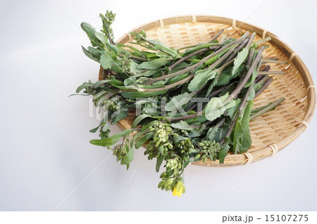 のらぼう菜 のらぼう菜 15107275