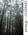 森林 15108482