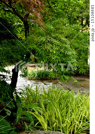 庭園 15108685