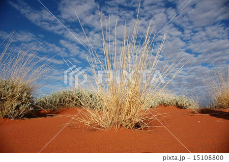 Rudall River outback 15108800