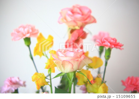 花 15109655