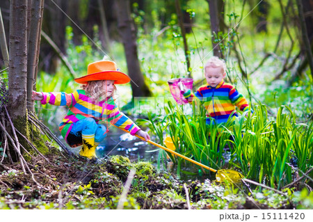 Children playing outdoors catching frog 15111420