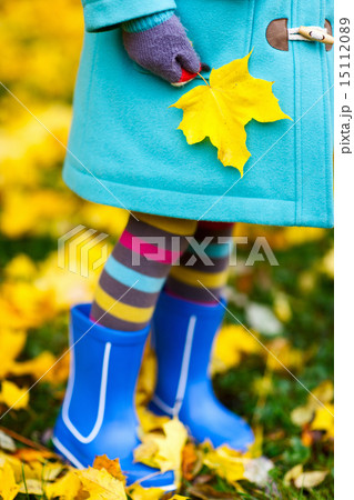Colorful autumn Colorful autumn 15112089