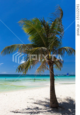 Beautiful tropical beach Beautiful tropical beach 15112241