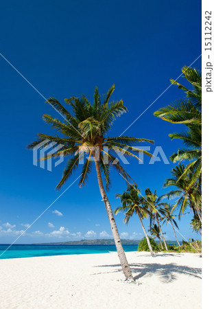 Tropical Paradise Tropical Paradise 15112242