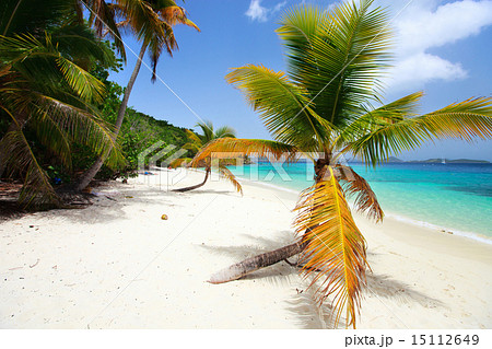 Beautiful tropical beach at Caribbean Beautiful tropical beach at Caribbean 15112649