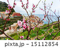 Spring in Manarola village in Cinque Terre 15112854