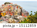 Manarola village in Cinque Terre 15112859