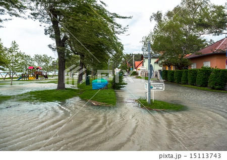 Flooded terrain in Balaton Flooded terrain in Balaton 15113743