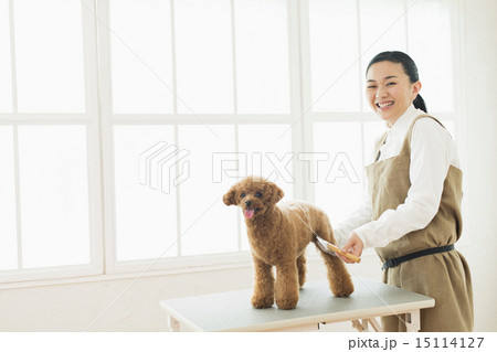 トリマー・獣医 15114127