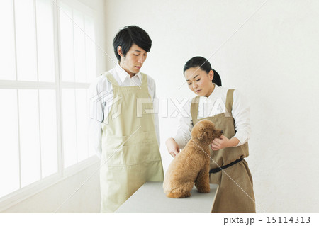 トリマー・獣医 15114313