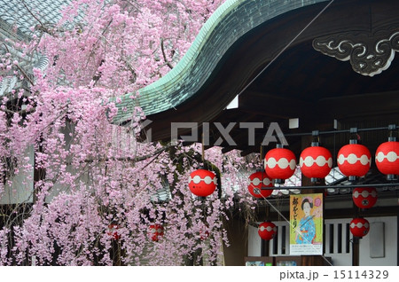 京都祇園　甲部歌舞練場 15114329