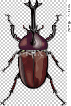 カブトムシ 15114407