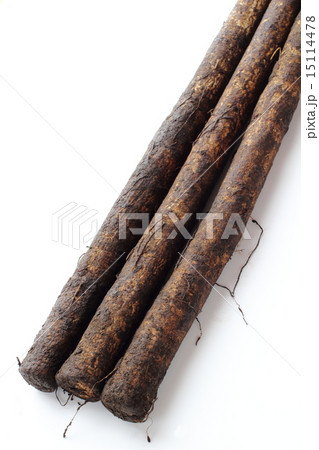 泥つきゴボウ 15114478