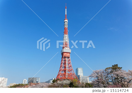 プリンス芝公園の満開の桜と東京タワー プリンス芝公園の満開の桜と東京タワー 15114724