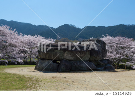 桜季節の石舞台古墳 15114929