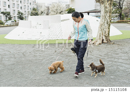 トリマー・獣医 トリマー・獣医 15115108