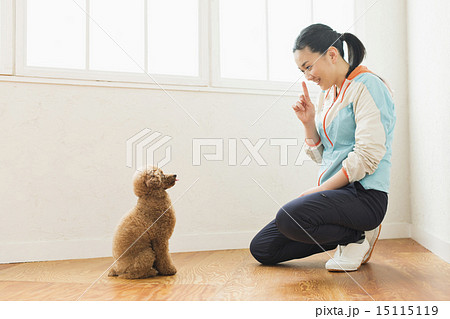 トリマー・獣医 15115119