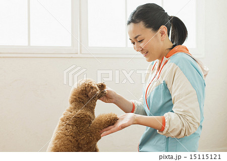 トリマー・獣医 トリマー・獣医 15115121