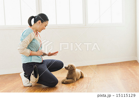 トリマー・獣医 15115129