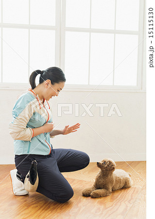 トリマー・獣医 15115130