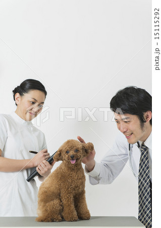 トリマー・獣医 15115292