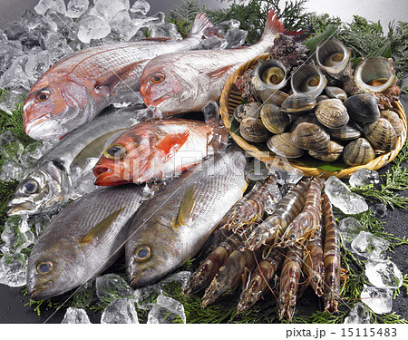 海の幸大集合 15115483