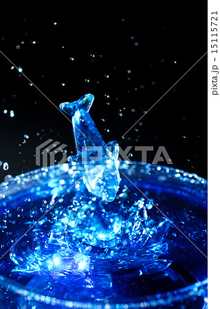 飛び込むイルカ.リピート撮影. 15115721