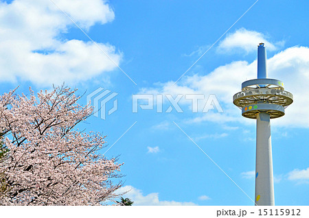 放送塔と桜(所沢航空記念公園) 放送塔と桜(所沢航空記念公園) 15115912