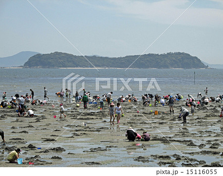 潮干狩り 15116055
