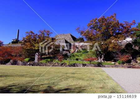 甲府城 甲府城 15116639