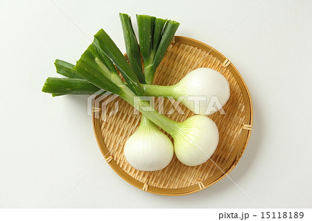 葉付きタマネギ 15118189