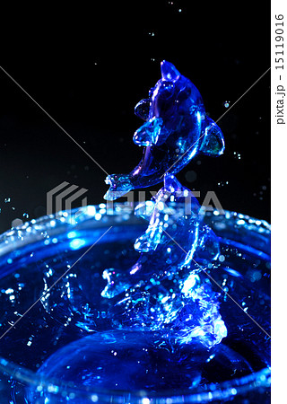 しぶきを上げるイルカ.リピート撮影. 15119016