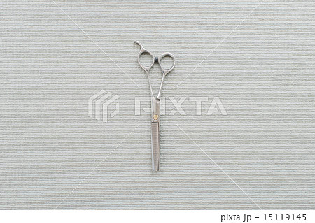 トリマー・獣医 15119145