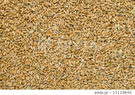 ears closeup 15119640