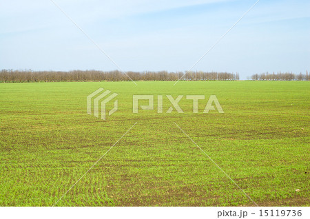 green field 15119736