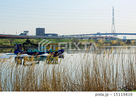 荒川を航行中の清掃船・水明号と川原のアシの穂 荒川を航行中の清掃船・水明号と川原のアシの穂 15119816