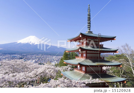 富士山と満開の桜 新倉富士浅間神社 快晴青空 富士山と満開の桜 新倉富士浅間神社 快晴青空 15120928
