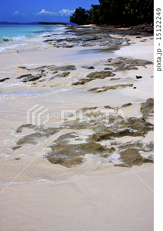 light blue in  mamoko 15122249