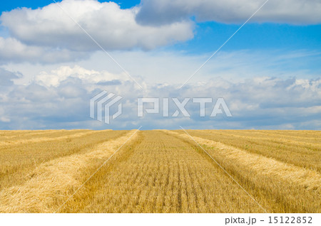 gold 15122852