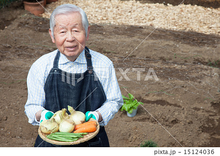 家庭菜園 15124036