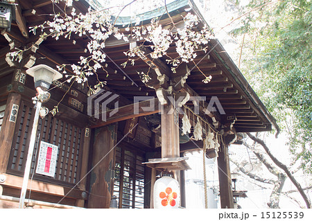 櫻木神社 櫻木神社 15125539
