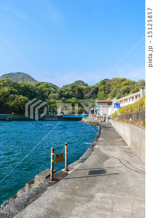 狩野川放水路出口 15125857