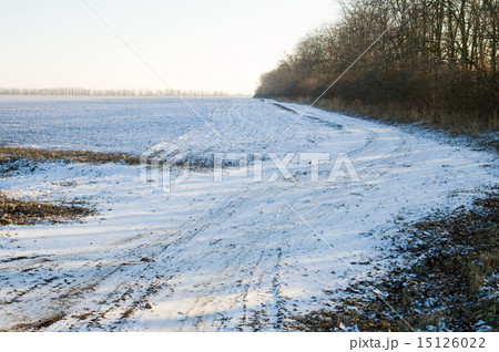 road in winter road in winter 15126022