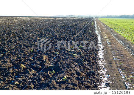 soil soil 15126193