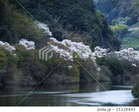 月ヶ瀬 月ヶ瀬 15126845