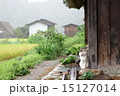 古民家と猫 15127014