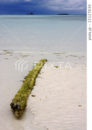 rock and wood 15127630